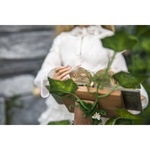 Photo of Деревянный Пюпитр с Гримуаром и декором