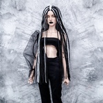 Photo of Парик "Черный Тигр" SD (размеры 7-8-9)