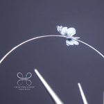 Photo of Диадема в серебре с бабочкой