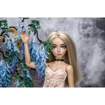 Photo of Скамья с глицинией