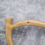 Photo of Скамья с глицинией