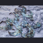 Photo of Украшение "Рыбка"