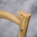 Photo of Скамья с глицинией