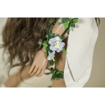 Photo of Комплект Друид для Minifee