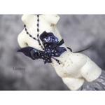 Photo of Корсаж "Темная бабочка"