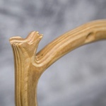 Photo of Скамья с глицинией