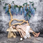 Photo of Скамья с глицинией