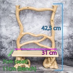 Photo of Скамья с глицинией